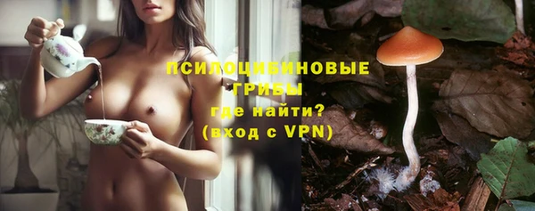 дживик Армянск