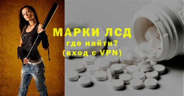 хмурый Арсеньев