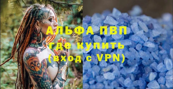 ПСИЛОЦИБИНОВЫЕ ГРИБЫ Козловка
