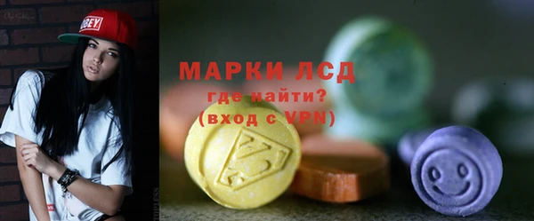 хмурый Арсеньев