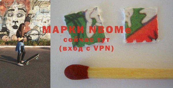 хмурый Арсеньев