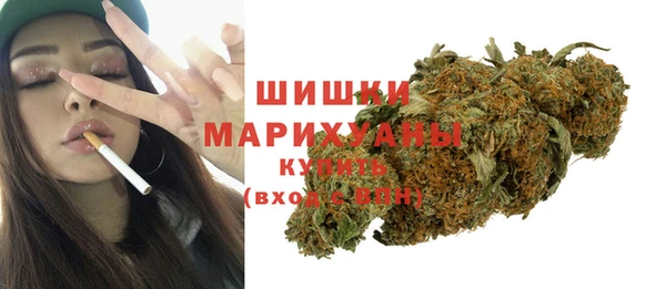хмурый Арсеньев
