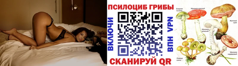 Галлюциногенные грибы Cubensis  это формула  Североморск 
